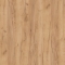    "" (   /  ) -    -   .